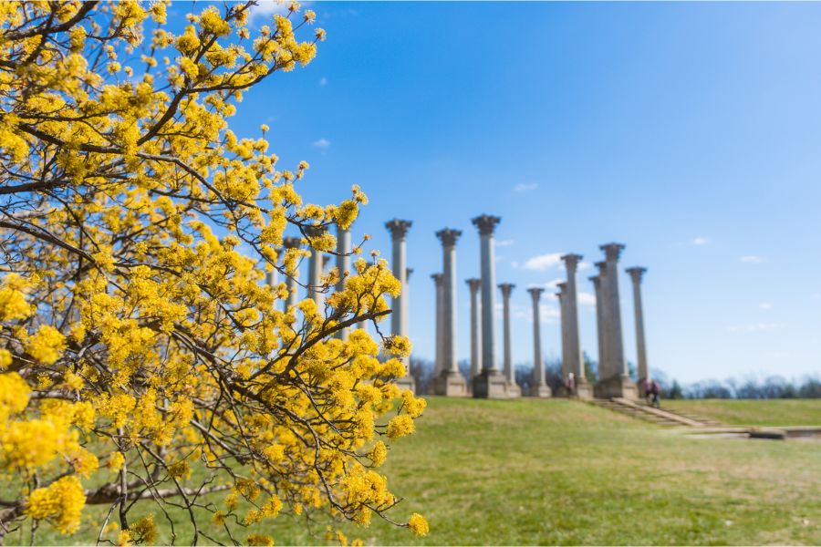 US National Arboretum