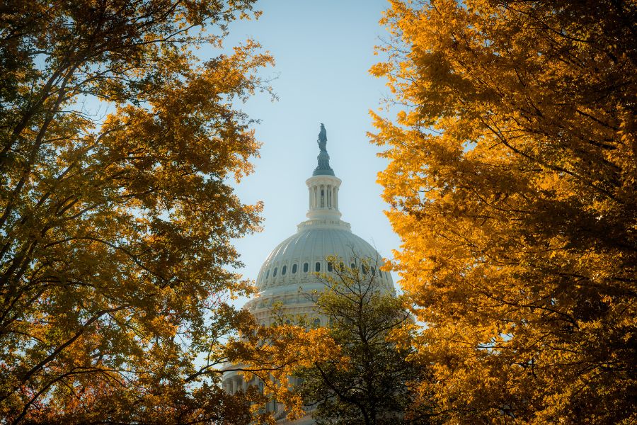 U.S. Capitol Fall