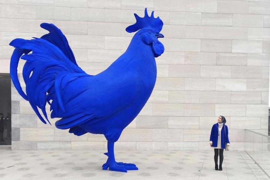 A visitor stands next to a towering, vibrant blue rooster sculpture at the National Gallery of Art, highlighting the contrast between the artwork's scale and the person's size.