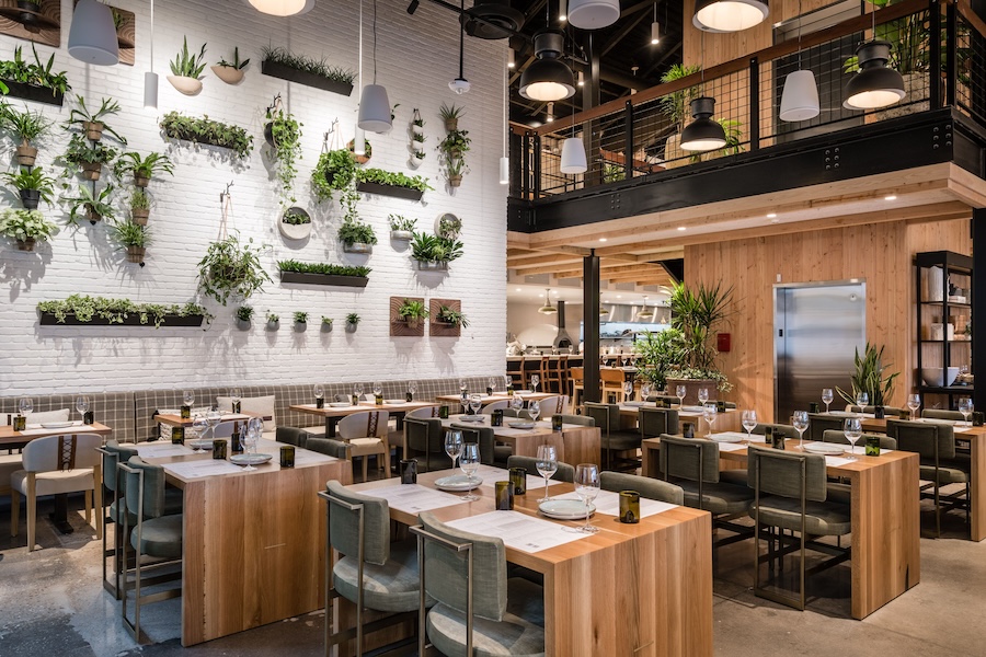 A modern restaurant interior with a warm, inviting ambiance. The walls are adorned with a variety of potted plants and greenery, creating a lush, fresh atmosphere. Wooden tables are set with glassware and napkins, ready for diners. A mezzanine level adds to the cozy, yet open, feel of the space.