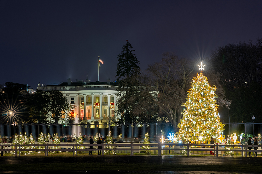 White House Christmas Tree