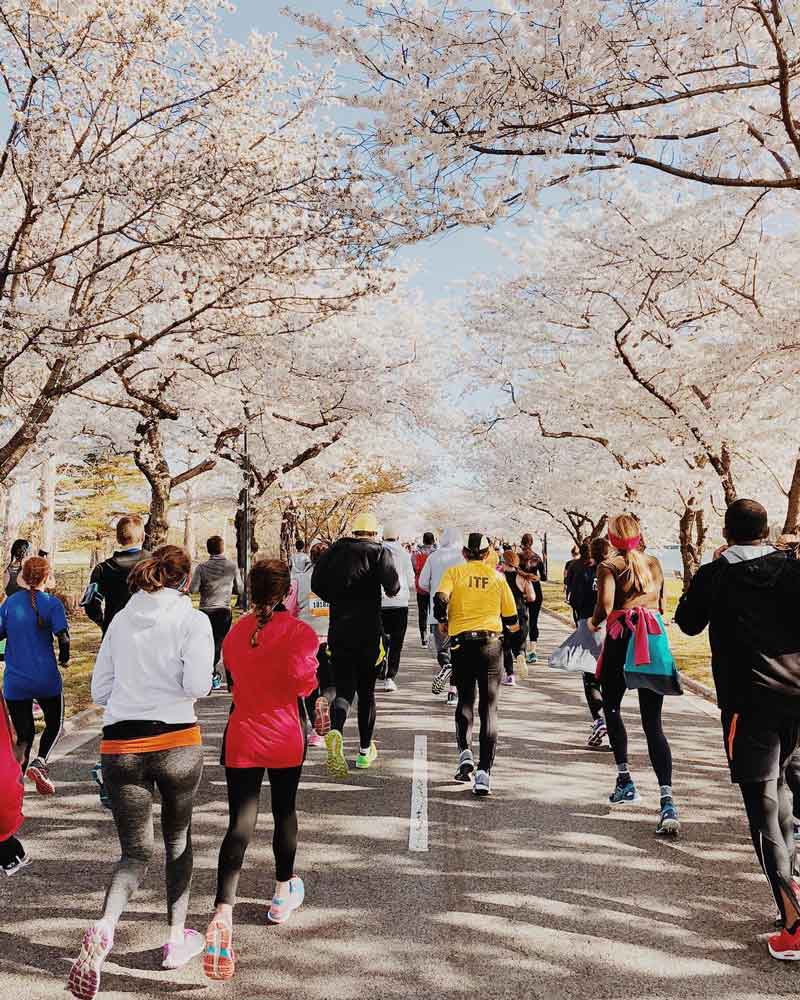 @carlnard - Runners during Cherry Blossom Ten-Miler on Hains Point - Places to run in Washington, DC