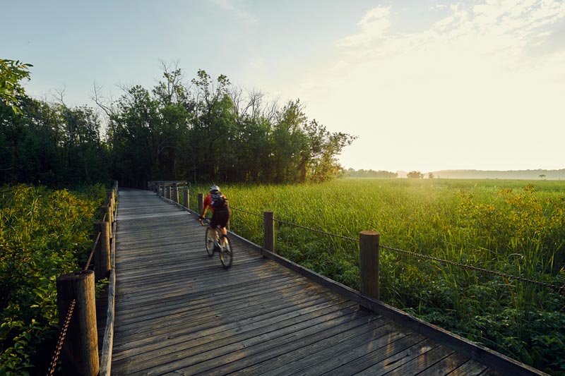 Cyclist on Mount Vernon Trail in Alexandria - Outdoor sports and recreation in Virginia near Washington, DC