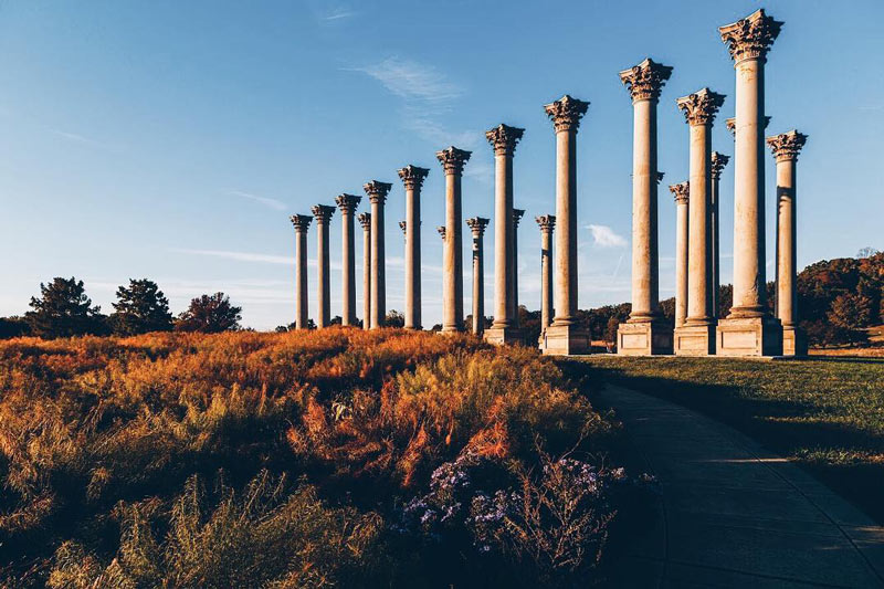 @markalanandre - Fall foliage at the U.S. National Arboretum Capitol Columns - Free outdoor activity in Washington, DC 