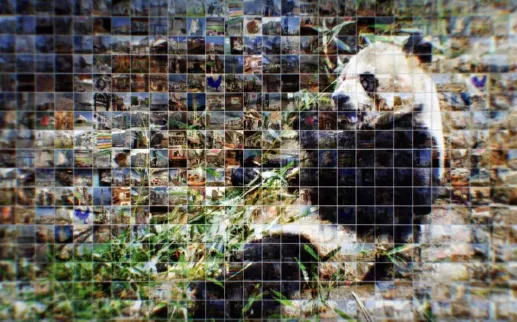 Monuments and memorials, eclectic neighborhoods, true local flavor – Washington, DC is a place unlike any other.