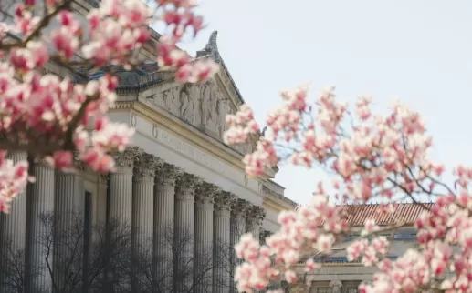 National Archives Through the Cherry Blossoms 
