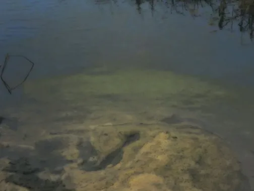 'Peter Campus: There Somewhere' at The Phillips Collection